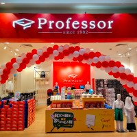 Professor